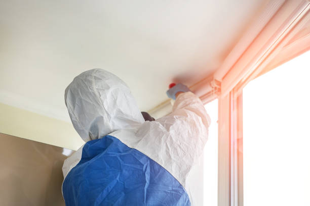 Best Black Mold Removal  in Sedalia, MO