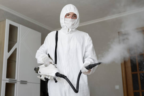 Best Forensic Mold Investigation  in Sedalia, MO